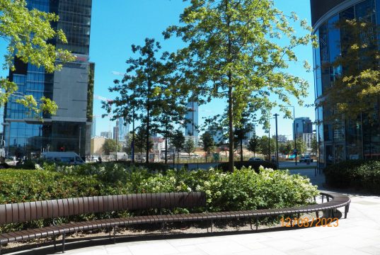 Czy pierwsza dekada sierpnia 2023 była wyjątkowo zimna?