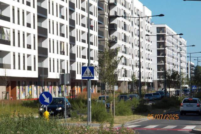 2025-07-05 2 Ursus